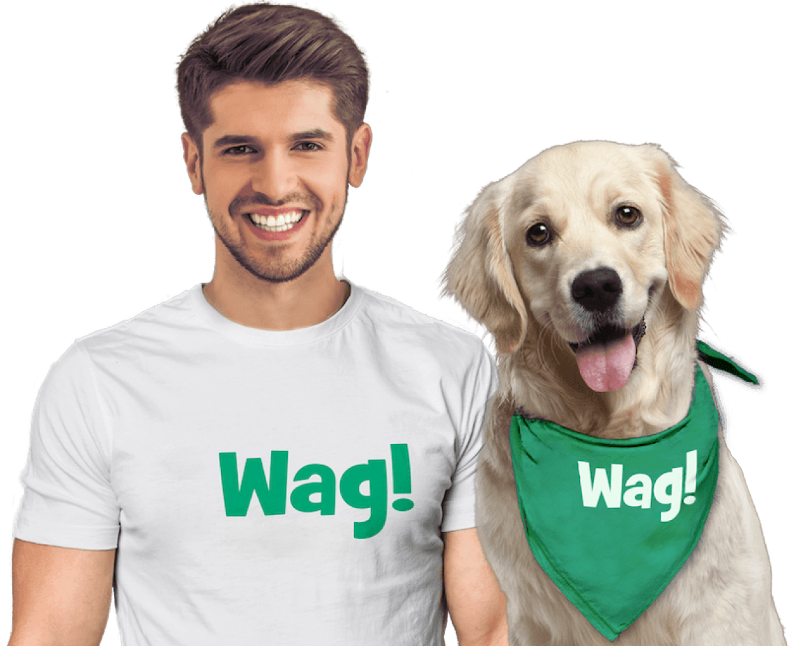 Wag! Pet care provider and dog