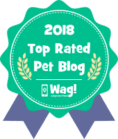 Top Wag! Walking Blog of 2018 - Richmond, VA